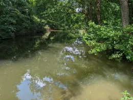 Elz (Kappel-Grafenhausen)