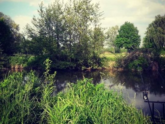 Elz (Kappel-Grafenhausen)-2