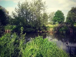 Elz (Kappel-Grafenhausen)-2