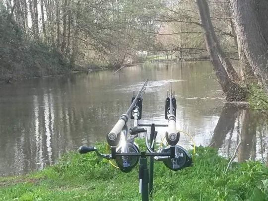 Elz (Kappel-Grafenhausen)-1