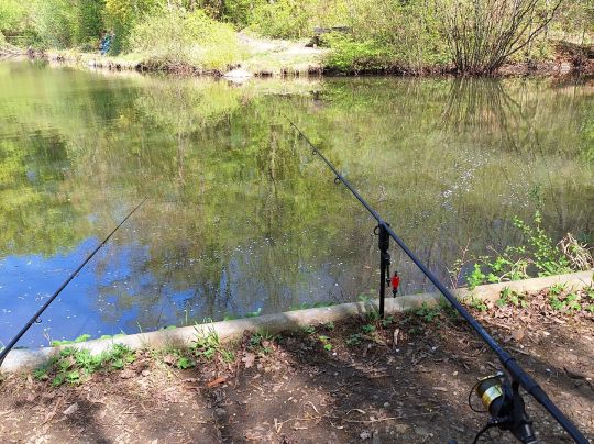 Finkenberg Teich (Bonn-Beuel)-4