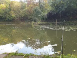 Finkenberg Teich (Bonn-Beuel)-1