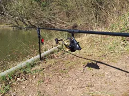 Finkenberg Teich (Bonn-Beuel)