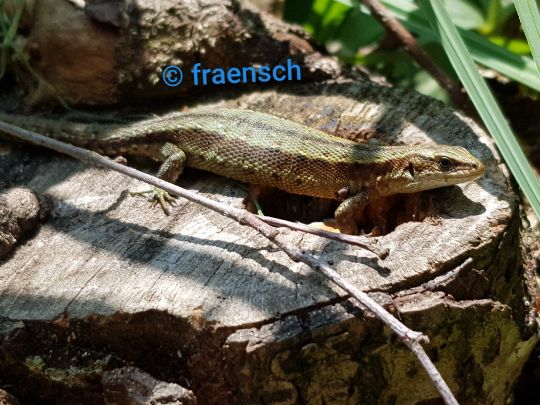 Speicher Klein Woltersdorf-4