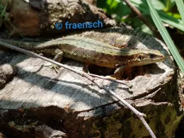 Speicher Klein Woltersdorf-4