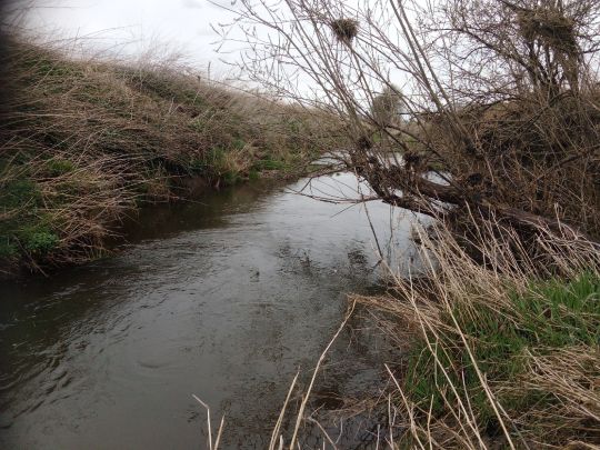 Isen-Flutkanal (Dorfen)-4