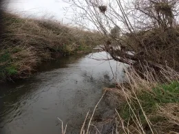 Isen-Flutkanal (Dorfen)-4