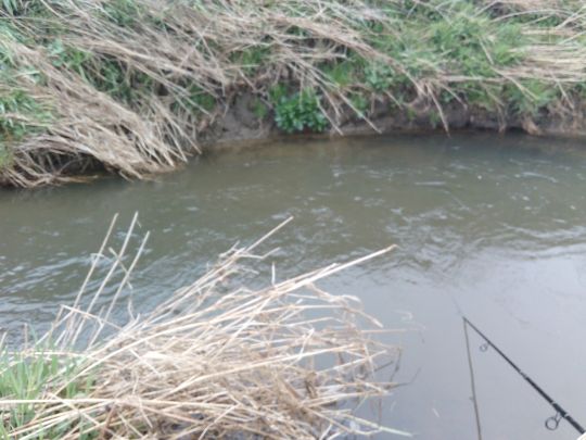 Isen-Flutkanal (Dorfen)-3