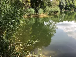 Börner See (Borgsdorf)-3