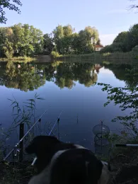 Börner See (Borgsdorf)-1