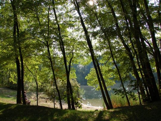 Börner See (Borgsdorf)-4