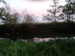 Fränkische Saale (Hammelburg)-2