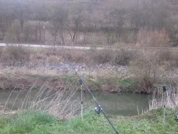 Fränkische Saale (Hammelburg)