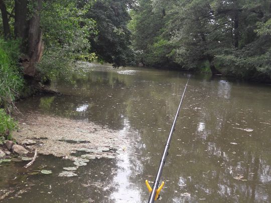 Fränkische Saale (Hammelburg)-4