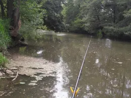 Fränkische Saale (Hammelburg)-4