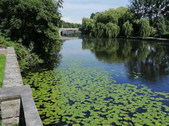 Alster (Hamburg-Alsterdorf)-4