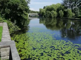Alster (Hamburg-Alsterdorf)-4