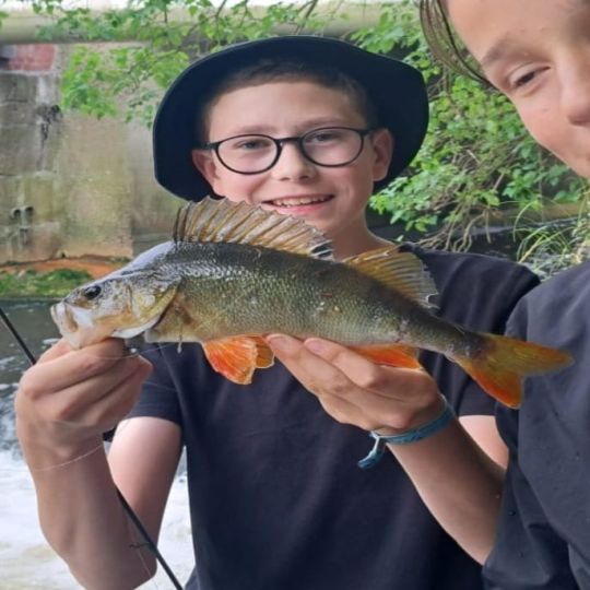 Alster (Hamburg-Alsterdorf)-1