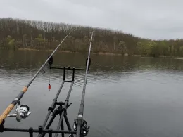 Untersee (Erftstadt)-4