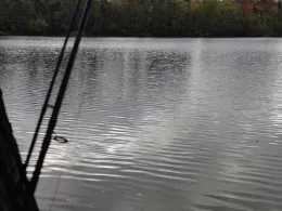 Untersee (Erftstadt)-3