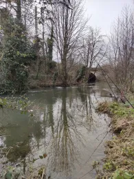 Stadtkanäle Esslingen-1