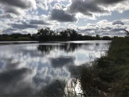 Biederitzer See (Umflutehle)-1