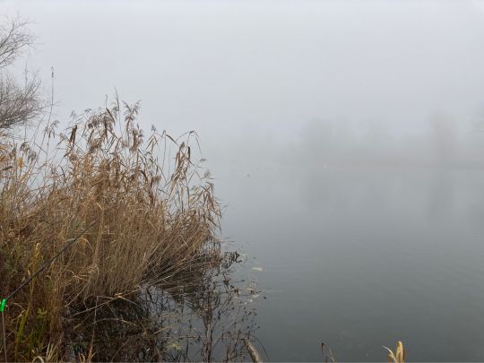 Biederitzer See (Umflutehle)-3