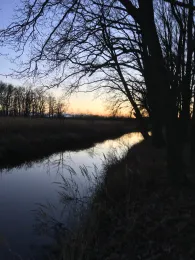 Kleine Aller (Wolfsburg)