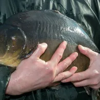 Forellenteich Tergast-1