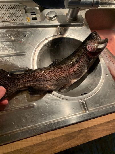 Forellenteich Tergast-2