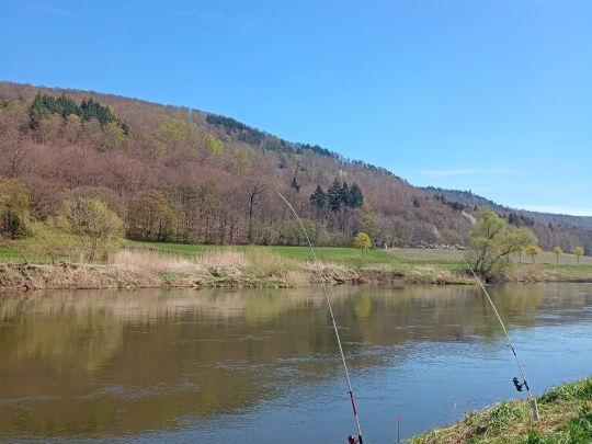 Weser (Reinhardshagen)-1