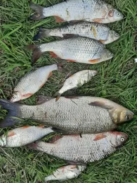 Weser (Reinhardshagen)-4