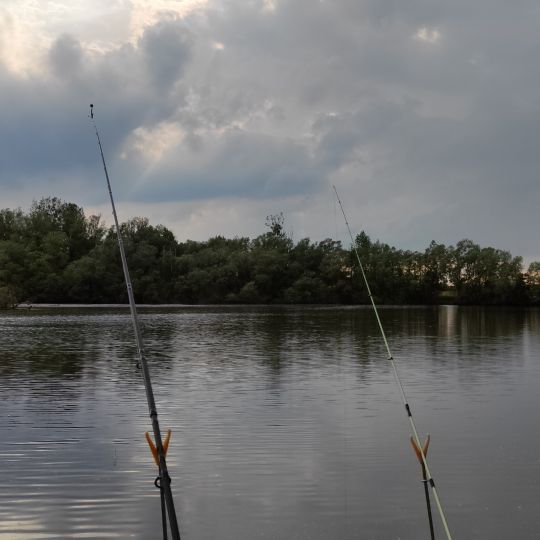 Alte Süderelbe (Hamburg-Finkenwerder)-1