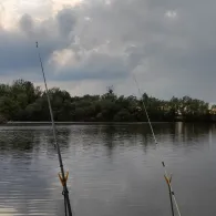 Alte Süderelbe (Hamburg-Finkenwerder)-1