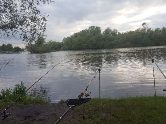 Alte Süderelbe (Hamburg-Finkenwerder)-4