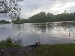 Alte Süderelbe (Hamburg-Finkenwerder)-4