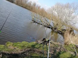 Alte Süderelbe (Hamburg-Finkenwerder)