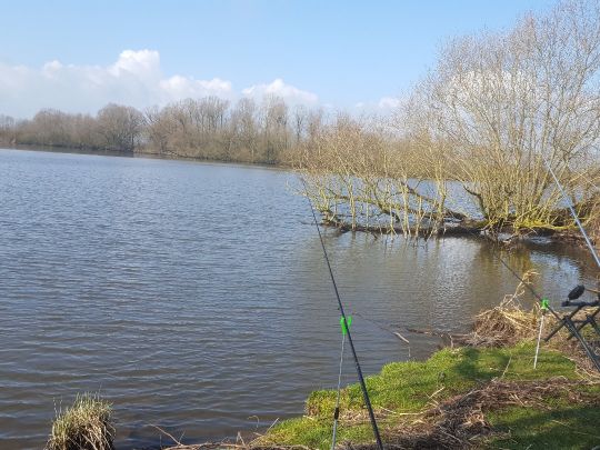 Alte Süderelbe (Hamburg-Finkenwerder)-3