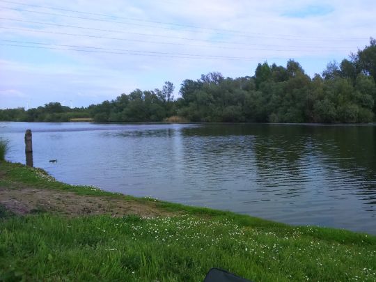 Alte Süderelbe (Hamburg-Finkenwerder)-2