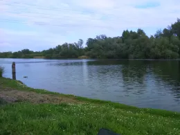 Alte Süderelbe (Hamburg-Finkenwerder)-2