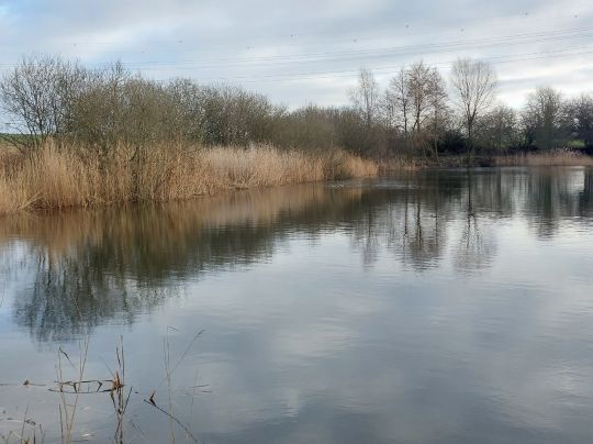 Vereinsteich Früh Auf Hagenow-2