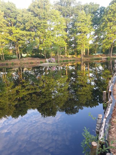 Angelpark Lüneburger Heide-4