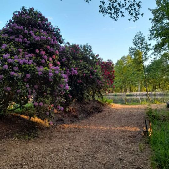 Angelpark Lüneburger Heide-1