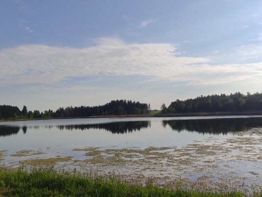 Korbsee (Marktoberdorf)-3