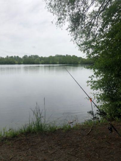 Flughafen-Weiher (Atting)-1