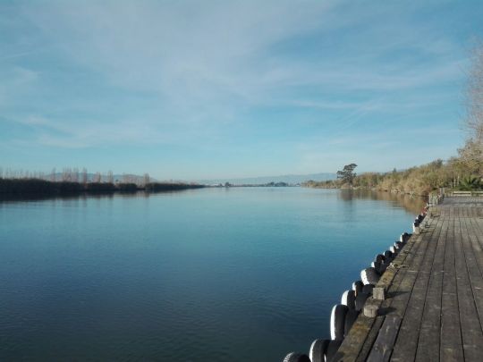 Ebrodelta
