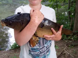 Privatteich Sportfischer Lichtenstein