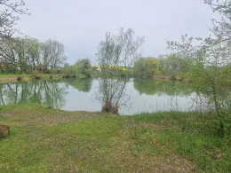 Schwarzweiher (Jarzt)