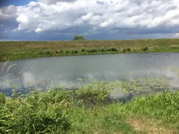 Blumenwinkel (Seegrehna)-0