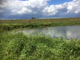 Blumenwinkel (Seegrehna)